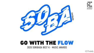 Stray Kids、TXTら豪華K-POPアーティストが集結「2020 SORIBADA BEST K-MUSIC AWARDS」がdTVで配信スタート – WEBザテレビジョン