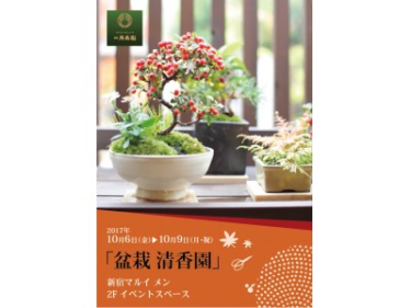 新宿マルイ メンにて、盆栽「清香園」ワークショップ・展示販売を … – 日刊工業新聞